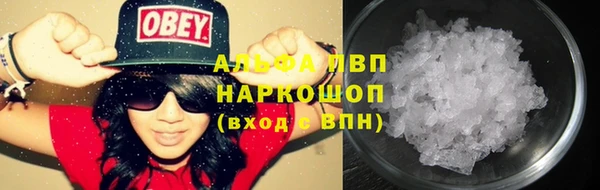 индика Переславль-Залесский