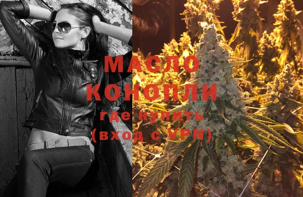 индика Переславль-Залесский